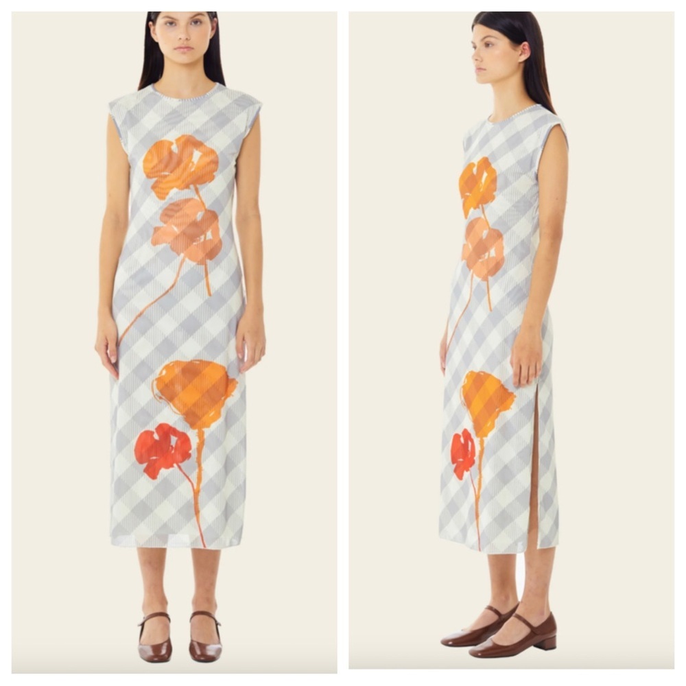 NWT! FIND ME NOW POPPY MESH MIDI DRESS - POPPY